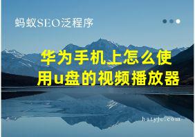 华为手机上怎么使用u盘的视频播放器