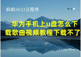 华为手机上u盘怎么下载歌曲视频教程下载不了