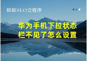 华为手机下拉状态栏不见了怎么设置