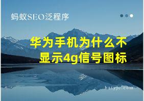 华为手机为什么不显示4g信号图标