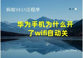 华为手机为什么开了wifi自动关