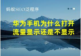 华为手机为什么打开流量显示还是不显示