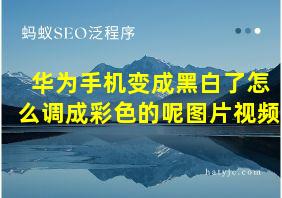 华为手机变成黑白了怎么调成彩色的呢图片视频