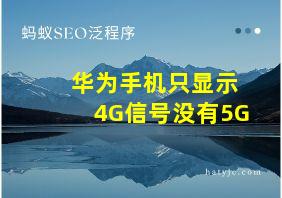 华为手机只显示4G信号没有5G