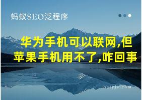 华为手机可以联网,但苹果手机用不了,咋回事