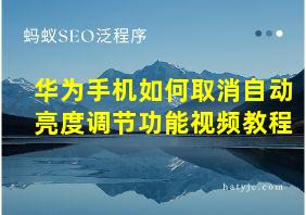 华为手机如何取消自动亮度调节功能视频教程