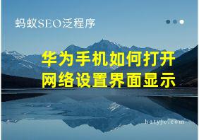 华为手机如何打开网络设置界面显示