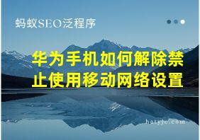 华为手机如何解除禁止使用移动网络设置