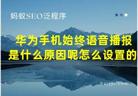 华为手机始终语音播报是什么原因呢怎么设置的