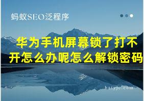 华为手机屏幕锁了打不开怎么办呢怎么解锁密码