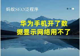 华为手机开了数据显示网络用不了