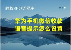 华为手机微信收款语音提示怎么设置