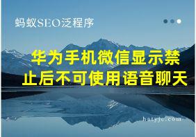 华为手机微信显示禁止后不可使用语音聊天