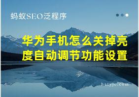 华为手机怎么关掉亮度自动调节功能设置