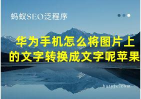 华为手机怎么将图片上的文字转换成文字呢苹果