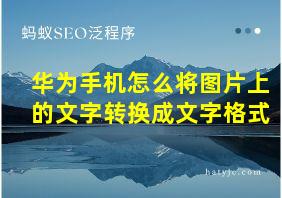 华为手机怎么将图片上的文字转换成文字格式