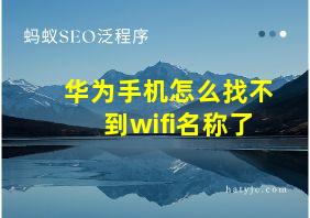 华为手机怎么找不到wifi名称了