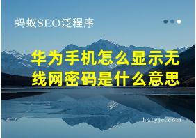 华为手机怎么显示无线网密码是什么意思