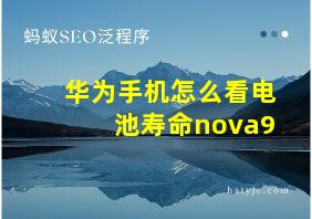 华为手机怎么看电池寿命nova9