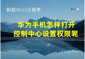 华为手机怎样打开控制中心设置权限呢