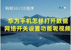 华为手机怎样打开数据网络开关设置功能呢视频