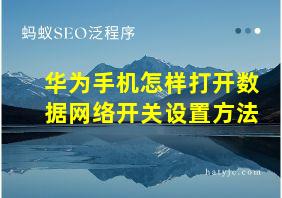 华为手机怎样打开数据网络开关设置方法