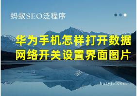 华为手机怎样打开数据网络开关设置界面图片