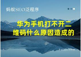 华为手机打不开二维码什么原因造成的