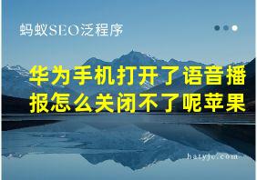 华为手机打开了语音播报怎么关闭不了呢苹果