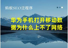 华为手机打开移动数据为什么上不了网络