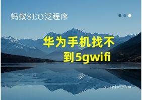 华为手机找不到5gwifi