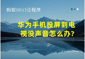 华为手机投屏到电视没声音怎么办?