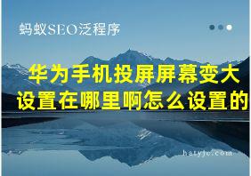 华为手机投屏屏幕变大设置在哪里啊怎么设置的