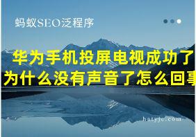 华为手机投屏电视成功了为什么没有声音了怎么回事