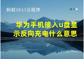 华为手机接入u盘显示反向充电什么意思