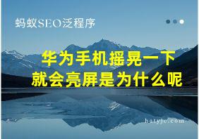 华为手机摇晃一下就会亮屏是为什么呢