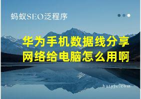 华为手机数据线分享网络给电脑怎么用啊