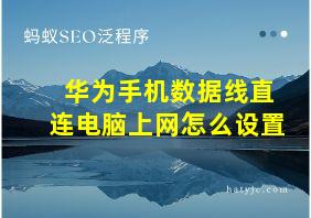 华为手机数据线直连电脑上网怎么设置