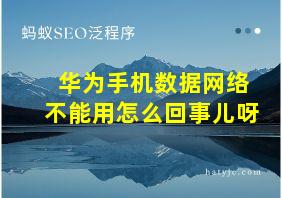 华为手机数据网络不能用怎么回事儿呀