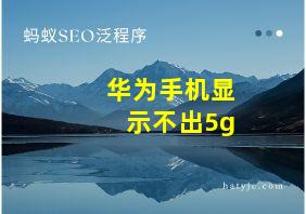 华为手机显示不出5g