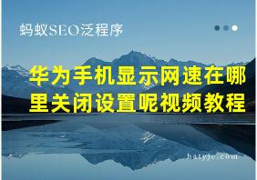 华为手机显示网速在哪里关闭设置呢视频教程