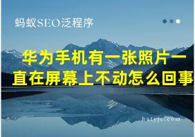 华为手机有一张照片一直在屏幕上不动怎么回事