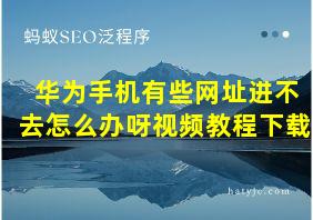 华为手机有些网址进不去怎么办呀视频教程下载