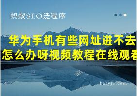 华为手机有些网址进不去怎么办呀视频教程在线观看