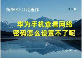 华为手机查看网络密码怎么设置不了呢