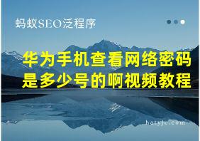 华为手机查看网络密码是多少号的啊视频教程