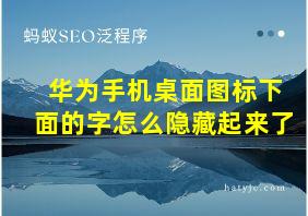 华为手机桌面图标下面的字怎么隐藏起来了