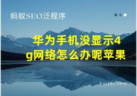 华为手机没显示4g网络怎么办呢苹果