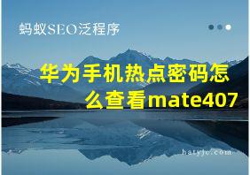 华为手机热点密码怎么查看mate407