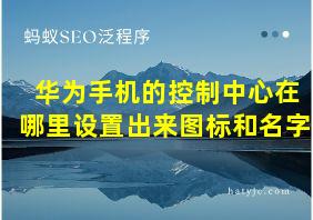 华为手机的控制中心在哪里设置出来图标和名字